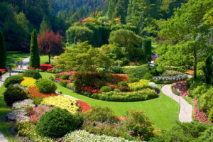 Butchart Gardens
